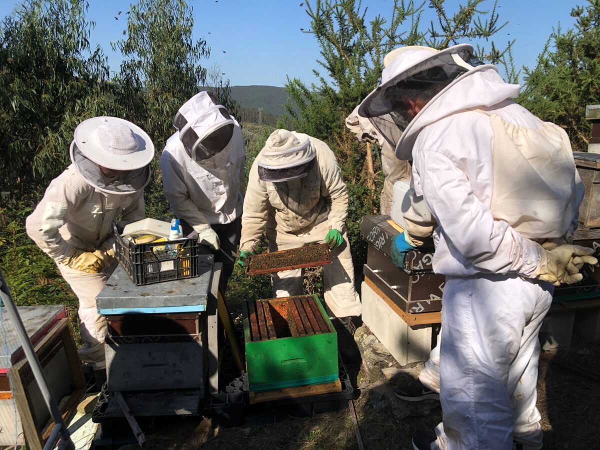 Formación AMAPICULTORES en colmenas